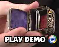 Play Demo Video